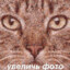azzazin