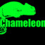 Wild Chameleon