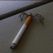 spider bro smoking a cigarette