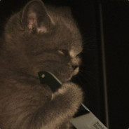 Smoothie - steam id 76561198420534597