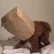 她说是二战炸黑的