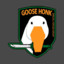 Goose Honk