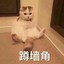 章鱼杀手杏丸丸