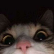 mambo jumbo case.gifts