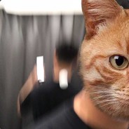 摇耳朵的小布丁