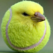 boll