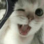 清越