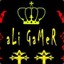 aligamer236