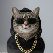 Кот Блатной