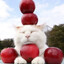 happycat16