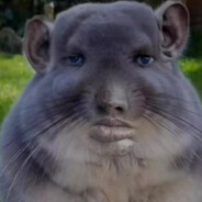 ChoMiSZoN