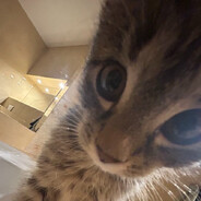 Grzmotuch.skins.army