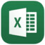 Microsoft Excel®