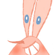 一只猪的好朋友