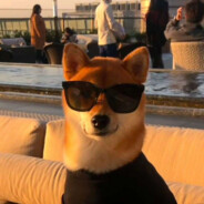 回是口加口，骑是马加奇