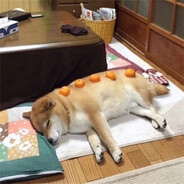 卡了电竞天才少年接单