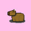capybara