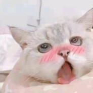 打架率先倒地 激发队友潜力