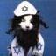 jewish cat.