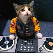 Alin | 1 Set => 500 Gems