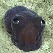 у меня ДР,хочу нож