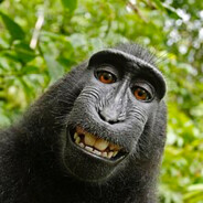 ВаФлеДроН EPICLOOT.ONE