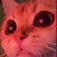 やめて 下さい