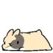 一只肥兔（网卡洗盘子