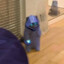 Zatorbonzo's avatar