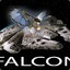 FalconBeard