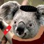 ADOLF KOALA