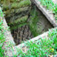 VIETCONG TRAP