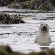 ^6i^0Rape^6` ^8 ^8^8a0^0nc^8 <3