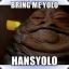 Yolo the hutt