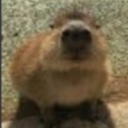 Don Grande Jeremiasz