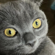 火锅锅锅锅锅锅