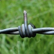 Dương Cực Cương