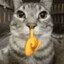 MEOW