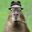 dustin