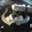 Altair