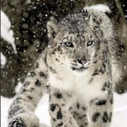 帅是一种偏爱666666