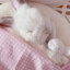 电信光纤猫😼
