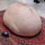 Подпивасник