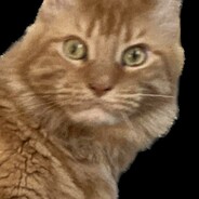 katen - steam id 76561199562346006