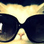 flutt3rr