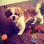 DASYNHO^_^!