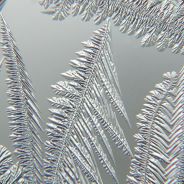 [iO] T-Frost - steam id 76561197961436032