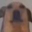 rv2jervfvrehb