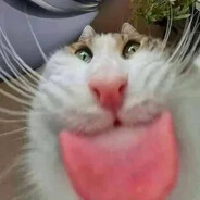 :>