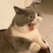 小曹每天都好饿ddd